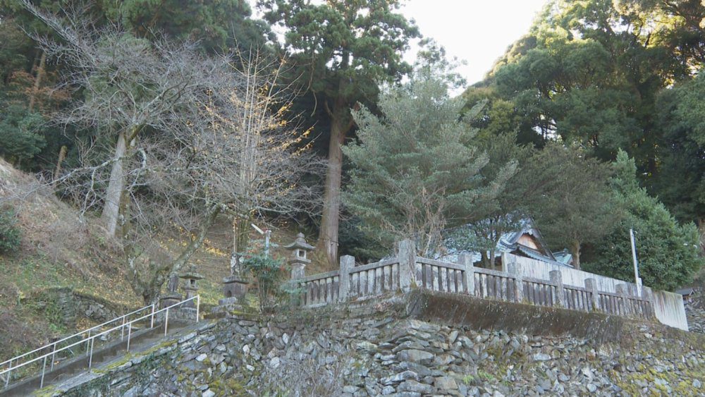 地域遺産を訪ねて山城神社の大杉